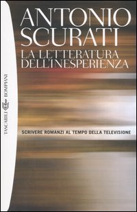 La letteratura dell'inesperienza - Scrivere romanzi al tempo della televisione