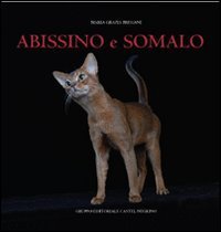 Abissino e somalo