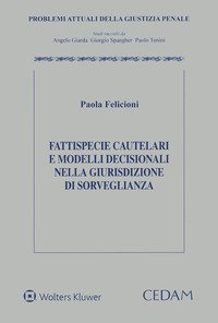 Fattispecie cautelari e modelli decisionali nella giurisdizione di sorveglianza
