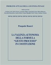 Violenza autonoma della formula giusto processo in costruzione