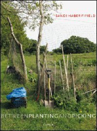 Sandi Haber Fifield - Between planting and picking