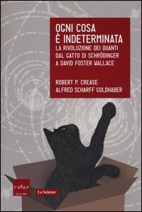 Ogni cosa &egrave; indeterminata. La rivoluzione dei quanti dal gatto di Schr&ouml;dinger a David Foster Wallace