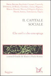 Il capitale sociale. Che cos'&egrave; e che cosa spiega