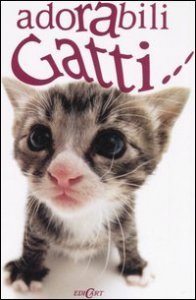 Adorabili gatti - ..