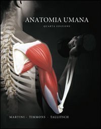 Anatomia umana