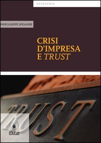 Introduzione ai principi guida degli standards contabili internazionali (IFRS)