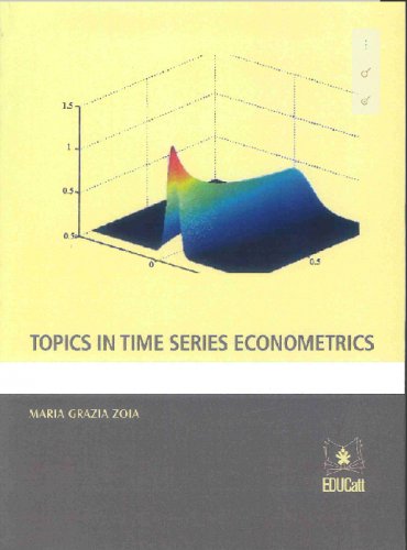 Topics in time series econometrics