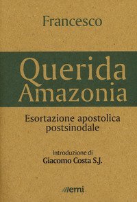 &laquo;Querida Amazonia&raquo;. Esortazione apostolica postsinodale