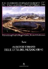 Ambiente urbano delle citt&agrave; del Mezzogiorno. Il piano come crescita e trasformazione dello spazio urbano