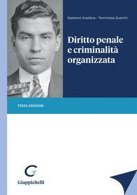 Diritto penale e criminalit&agrave; organizzata