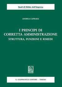 I principi di corretta amministrazione. Struttura, funzioni e rimedi