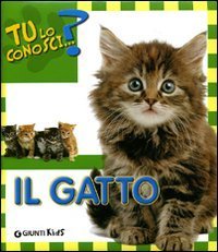 Il gatto