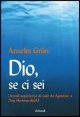 Dio, se ci sei - Grandi esperienze di fede da Agostino a Dag Hammarskjöld