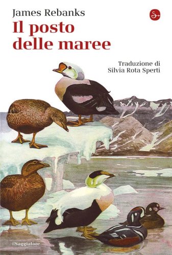 Il posto delle maree
