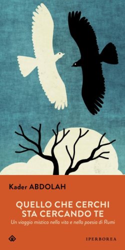 Quello che cerchi sta cercando te. Un viaggio mistico nella vita e nella poesia di Rumi