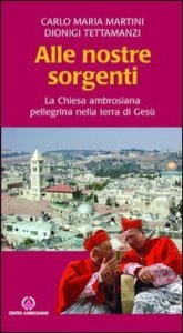 Alle nostre sorgenti. La Chiesa ambrosiana pellegrina nella terra di Ges&ugrave;