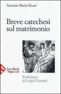 Breve catechesi sul matrimonio