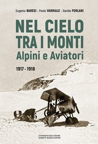 Nel cielo tra i monti. Alpini e aviatori (1917-1918)