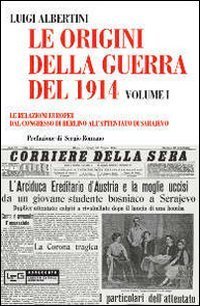 Le origini della guerra del 1914