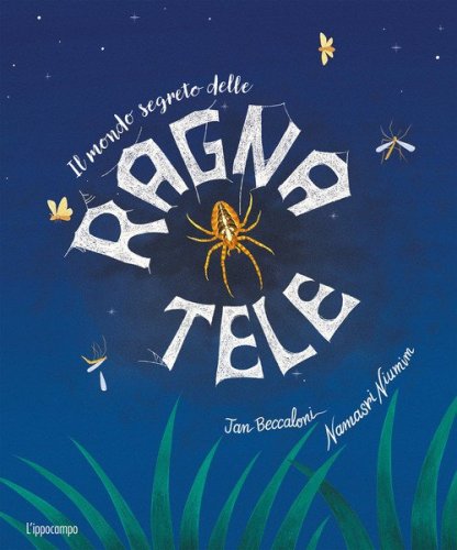 Il mondo segreto delle ragnatele