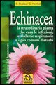 Echinacea - Vuoi curare un'infezione o altri malanni e rafforzare il tuo sistema immunitario?