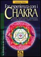 Far esperienza con i chakra. Simboli, visualizzazione, meditazione, percezione del corpo, respiro e mudras