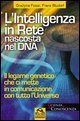 Intelligenza nascosta nel DNA - Il legame genetico che ci mette in contatto con tutto l'universo