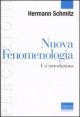 Nuova fenomenologia - Un'introduzione