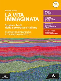 Vita Immaginata. Storia E Testi Della Letteratura Italiana. Con Tutte Le Mappe Della Letteratura 3.