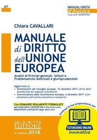 Manuale di diritto dell'Unione Europea. Analisi di principi generali, Istituti e problematiche dottrinali e giurisprudenziali