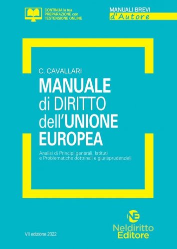 Manuale di diritto dell'Unione Europea. Analisi di principi generali, Istituti e problematiche dottrinali e giurisprudenziali