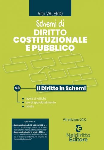 Schemi di diritto costituzionale e pubblico