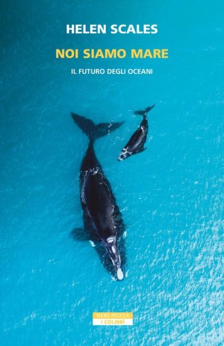 Noi siamo mare. Il futuro degli oceani