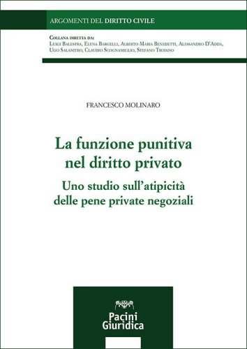 La funzione punitiva nel diritto privato. Uno studio sull'atipicit&agrave; delle pene private negoziali