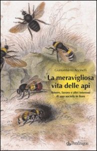 La meravigliosa vita delle api. Amore, lavoro e altri interessi di una societ&agrave; in fiore