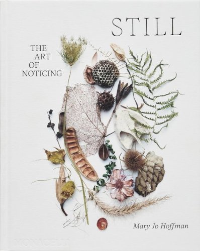 Still. The art of noticing