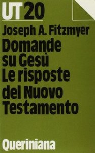 Domande su Ges&ugrave;. Le risposte del Nuovo Testamento