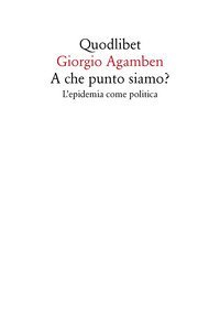A che punto siamo? L'epidemia come politica