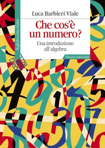 Che cos'&egrave; un numero? Una introduzione all'algebra