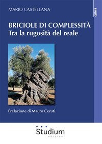 Briciole di complessit&agrave;. Tra la rugosit&agrave; del reale