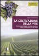 L'Australia oltre il 2000